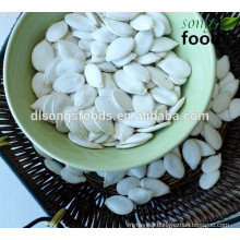 High Quality Snow White China Pumpkin Seed